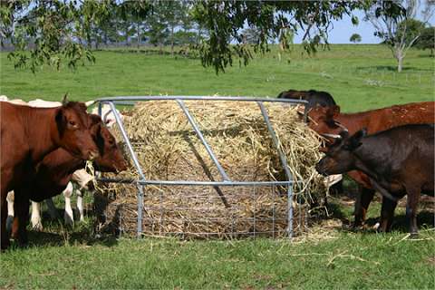 Photo: Cavalier Livestock Equipment